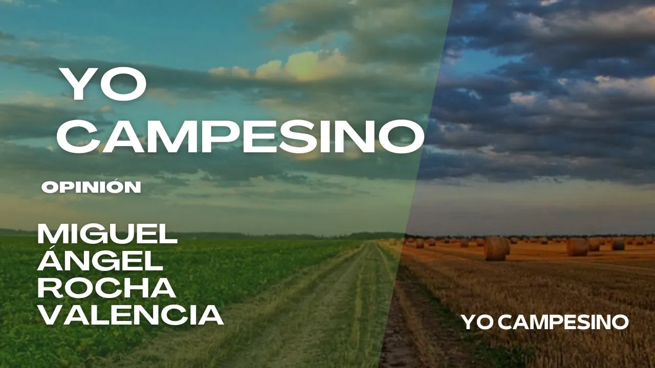 Yo Campesino / Caída libre